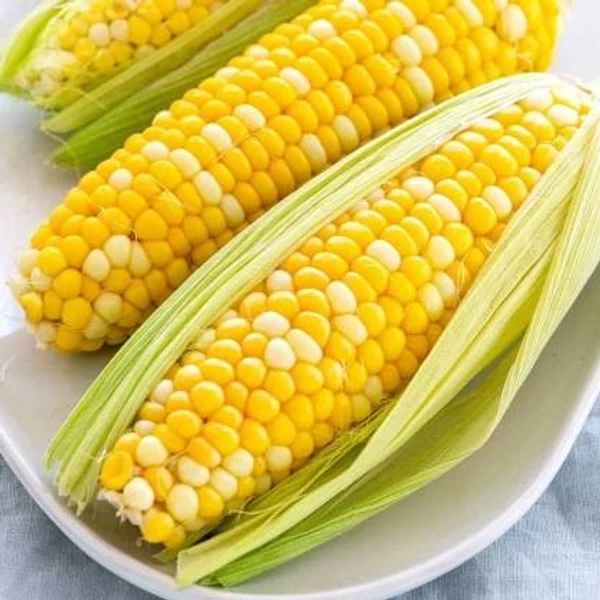 Sweet Corn - 2pcs