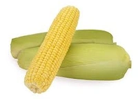 Sweet Corn - 2pcs