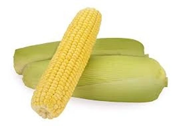 Sweet Corn - 1pcs