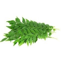 Curry Leaves - 100g