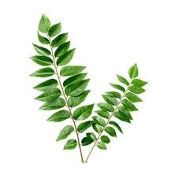 Curry Leaves - 100g