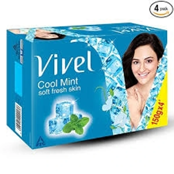 Vivel Cool Mint Soft Fresh Skin - 600g