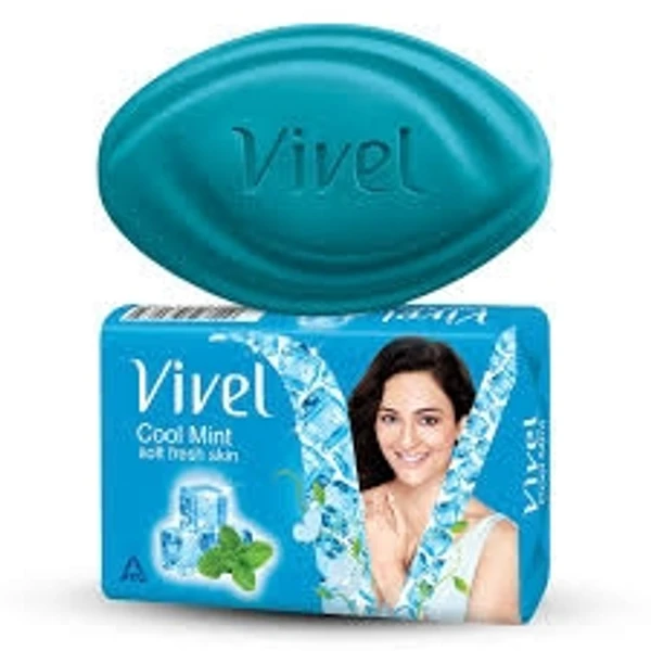 Vivel Cool Mint Soft Fresh Skin - 600g