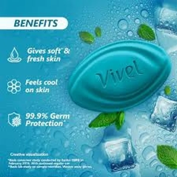 Vivel Cool Mint Soft Fresh Skin - 600g