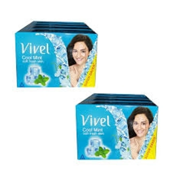 Vivel Cool Mint Soft Fresh Skin - 600g