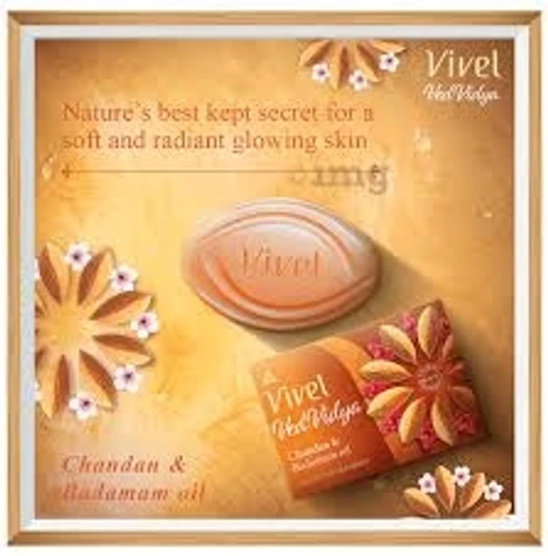 Vivel Ved Vidya Luxury Soap Bars - 100g (Pack Of 6)