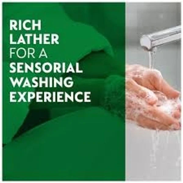 Dettol Liquid Hand Wash,  Skin Care-Everyday Protection pH Balance Moisturising - 200ml
