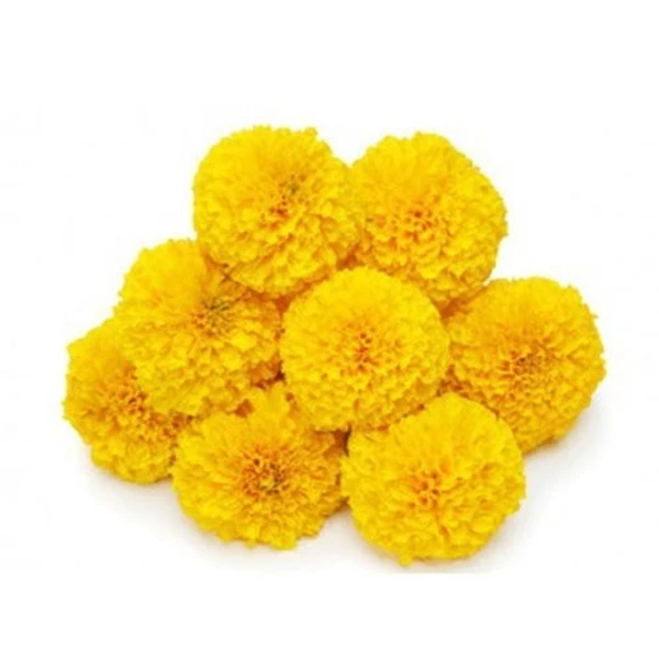 Marigold Flower Yellow - 100g