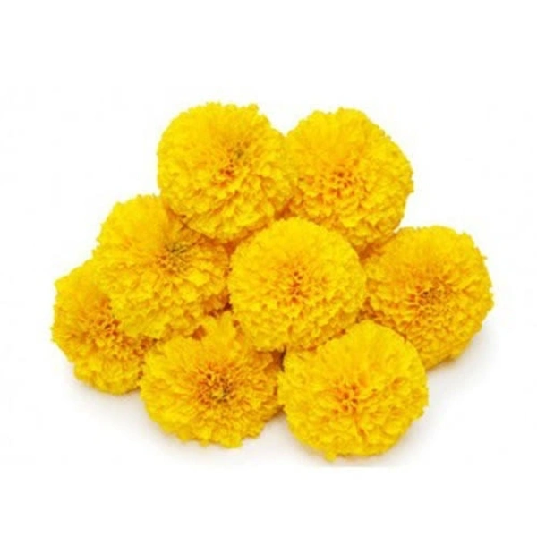 Marigold Flower Yellow - 250g