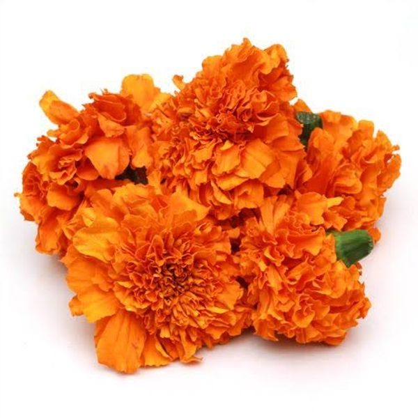 Marigold Flower Orange - 100g