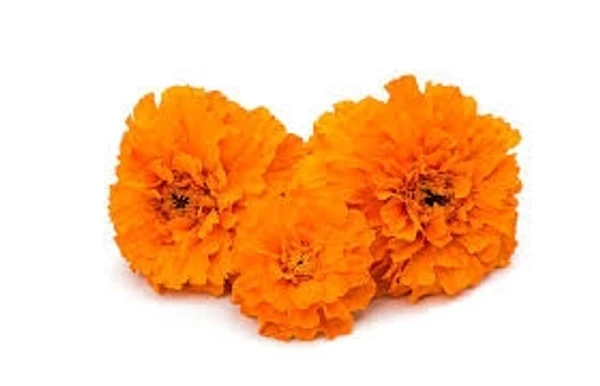 Marigold Flower Orange - 100g