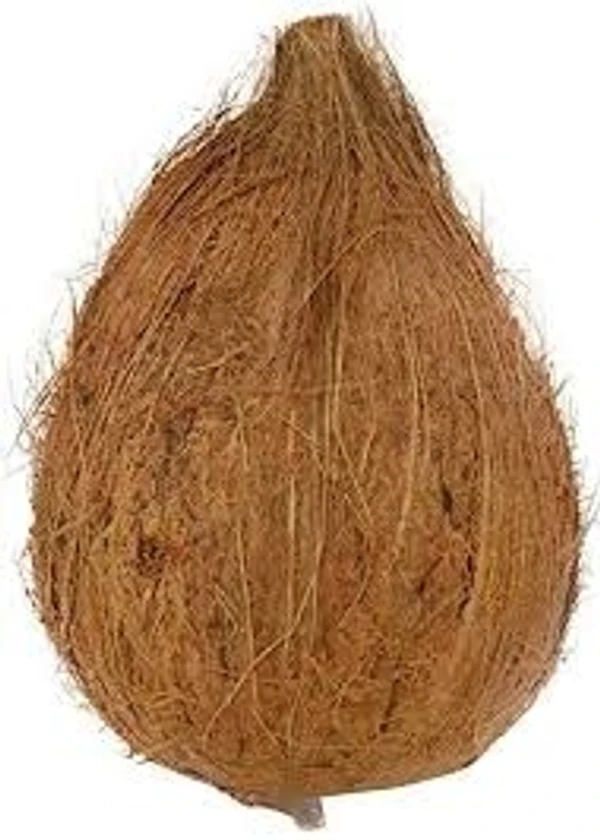 Coconut Large - 1pcs