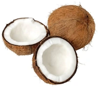 Coconut Large - 1pcs