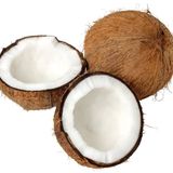 Coconut Large - 1pcs