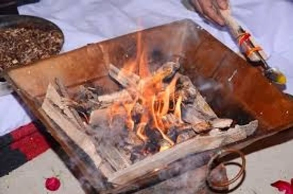 Cow Dung Cake - Big , Used For Havanas - 2pcs