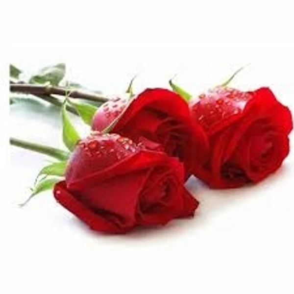 Rose Red Fresh  - 1pcs