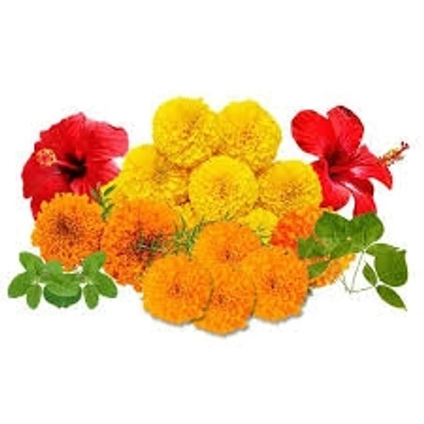 Puja Flower Mix - 1Packs