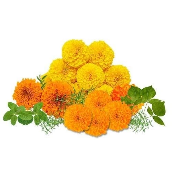 Puja Flower Mix - 1Packs