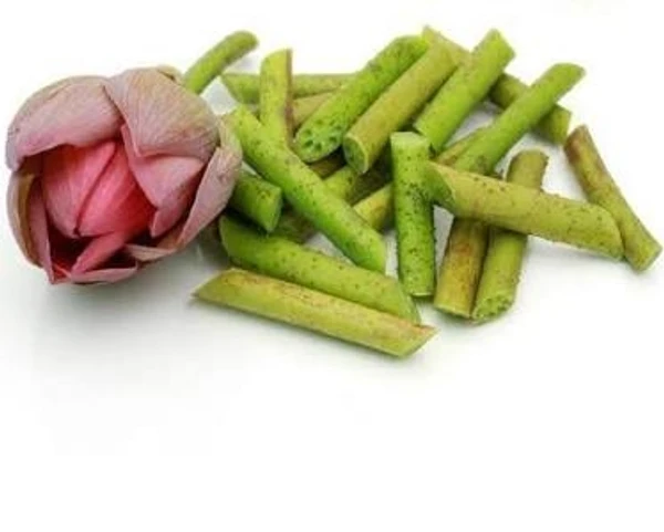 Lotus Pink  Fresh - 1Pcs (1stem)