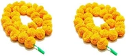 Garland Marigold Flower, Yellow  - 2ft, Yellow