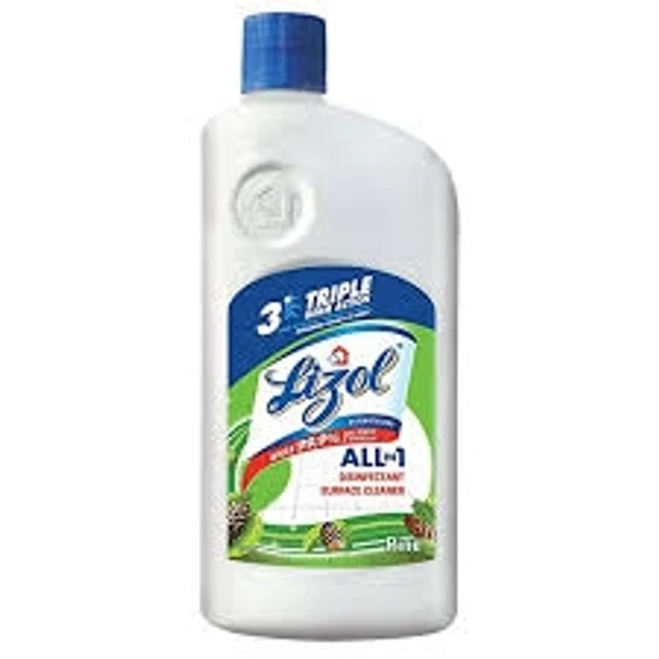 Lizol Disinfectant Surface & Floor Cleaner-pine , All In 1  - 500ml