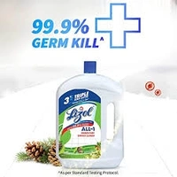 Lizol Disinfectant Surface & Floor Cleaner-pine , All In 1  - 500ml