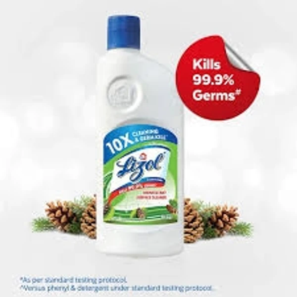 Lizol Disinfectant Surface & Floor Cleaner-pine , All In 1  - 500ml