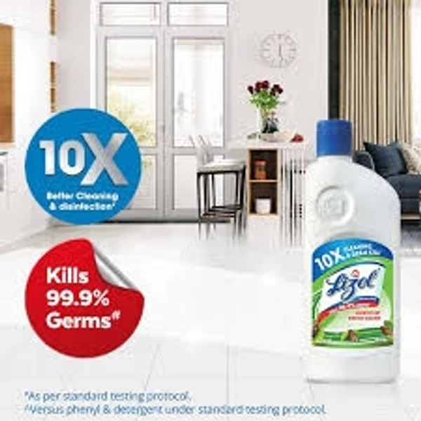 Lizol Disinfectant Surface & Floor Cleaner-pine , All In 1  - 500ml