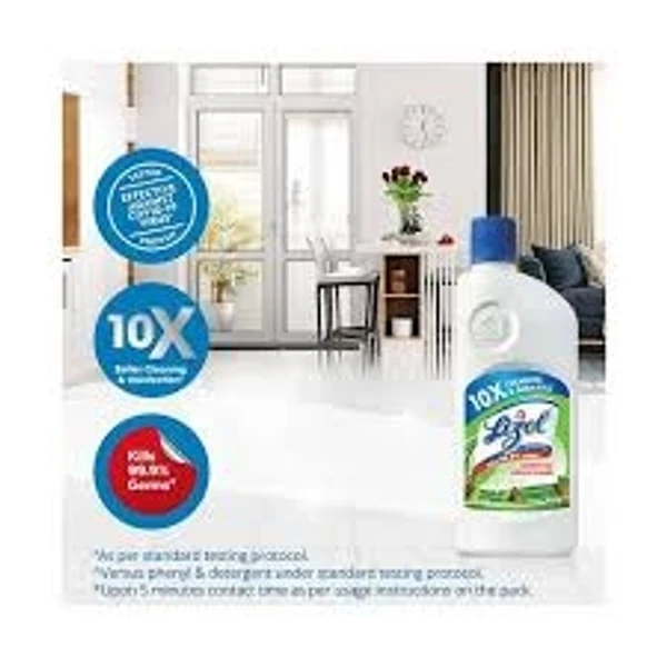 Lizol Disinfectant Surface & Floor Cleaner-pine , All In 1  - 500ml