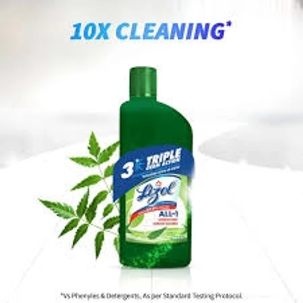 Lizol Disinfectant Surface & Floor Cleaner-Neem , All In 1  - 500ml