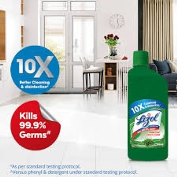 Lizol Disinfectant Surface & Floor Cleaner-Neem , All In 1  - 500ml