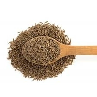 Jeera Whole/Cumin Seed/ জিরা গোটা - 50g, Popular