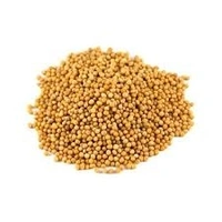 Pure Yellow Mustard Seed (Loose) - 100g