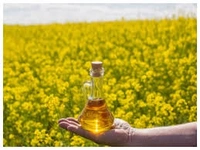 Pure Yellow Mustard Seed (Loose) - 100g