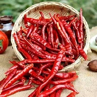 Lal Mirchi Gota(With Stem) - 100g, Premium