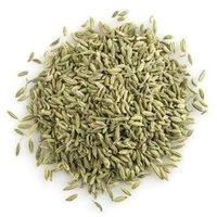 Mouri/Fennel Seeds -Big - 50g, Popular