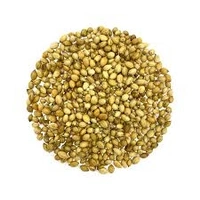 Dhania/Coriander Seeds - 50g, Premium Quality