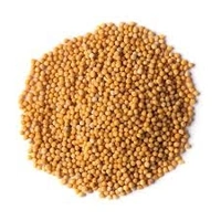 সরিষা/Mustard/Sorsha Yellow - 100g, Premium