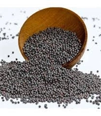 Mustard/Sorsha Big (Black) - 100g, Premium