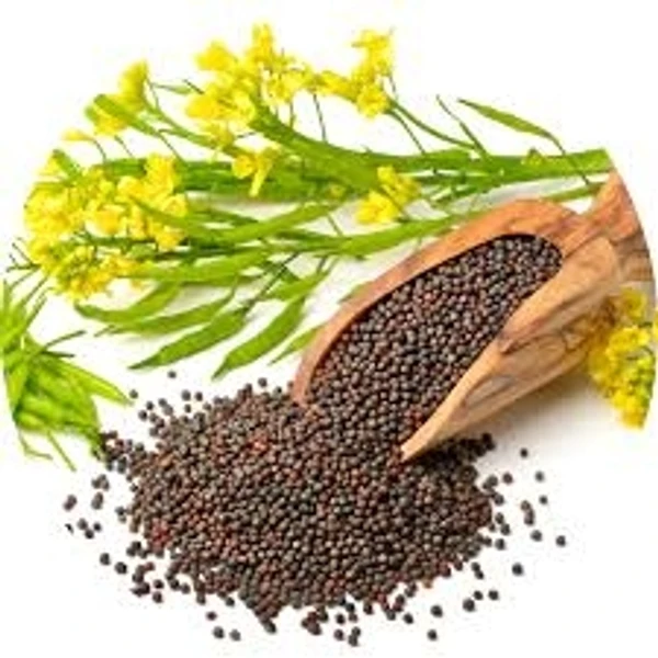 Mustard/Sorsha Big (Black) - 200g, Popular