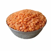 Masoor Dal  - 500g, Basic