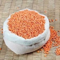Masoor Dal  - 500g, Basic