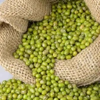 Green Moong Dal - Whole  - 500g, Basic