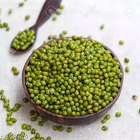 Green Moong Dal - Whole  - 500g, Premium