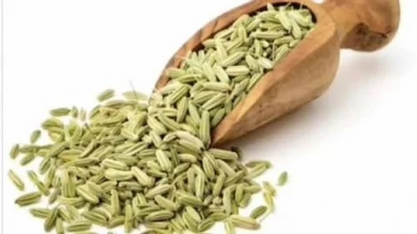 Mouri/Fennel Seeds/মৌরি -Big - 100g, Premium