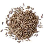 জিরা গোটা/Jeera Whole/Cumin Seed - 100g, Premium