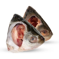 Katla Head , Medium(From 1kg-1.5 kg)