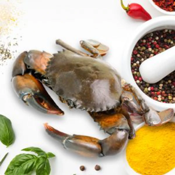 Sea Crab/সমুদ্র কাকড়া- Live - 5 Pcs, Order 1 Day Before