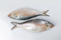 Hilsa/Ilish/ইলিশ - Medium Size, Bengali Cut With Head - 1kg