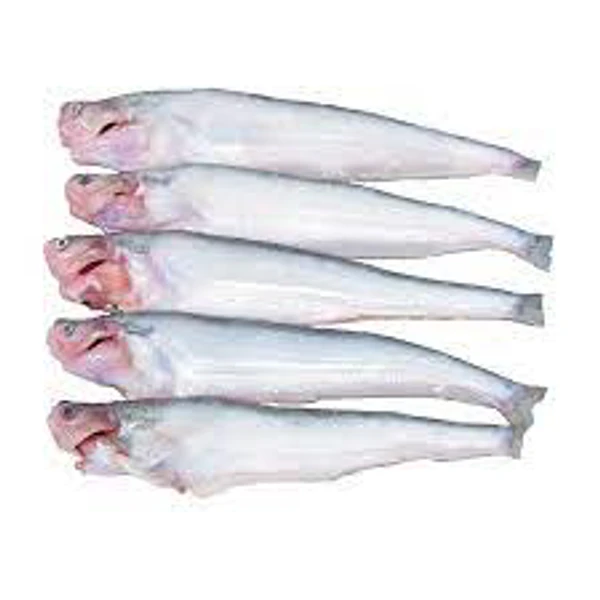 Pabda Fish/পাবদা মাছ  - 1kg